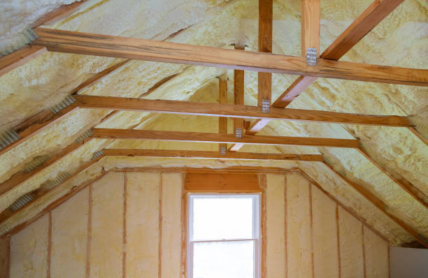 Best Residential Insulation Services  in Robinhood, MS