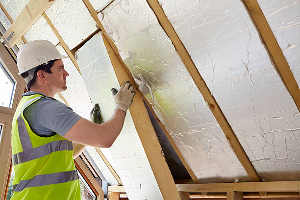Best Attic Insulation Installation  in Robinhood, MS