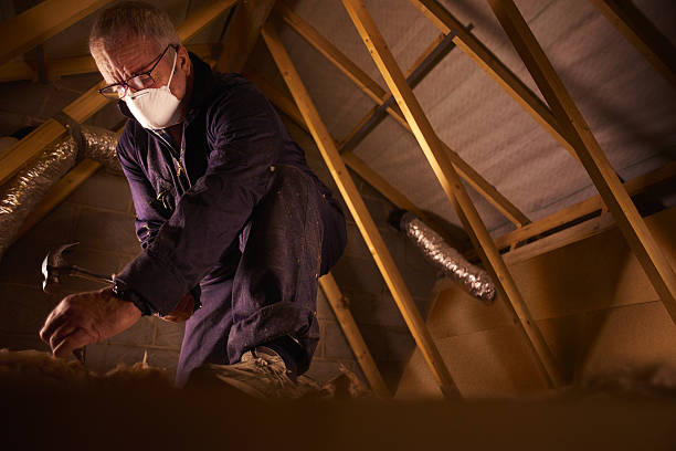 Best Commercial Insulation Contractor  in Robinhood, MS